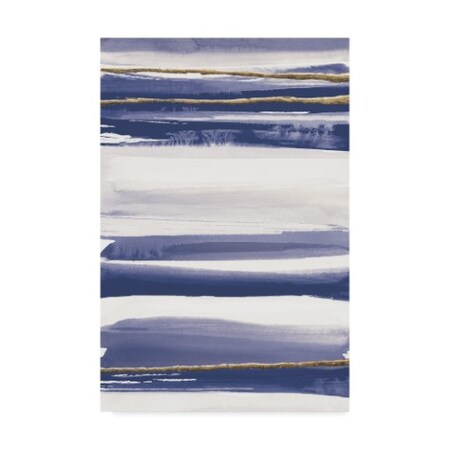 Trademark Fine Art Chris Paschke 'Gilded Grey Iii Indigo And White' Canvas Art, 30x47 WAP05979-C3047GG
